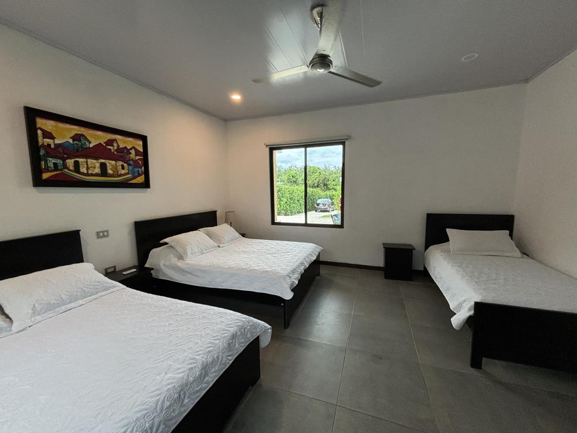 Amazilia Guesthouse Liberia Exterior photo